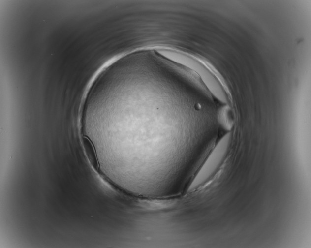 X0000083971197200703091755