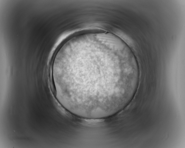 X0000083971200200703091755