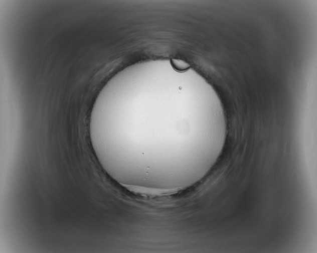 X0000083971201200703091755