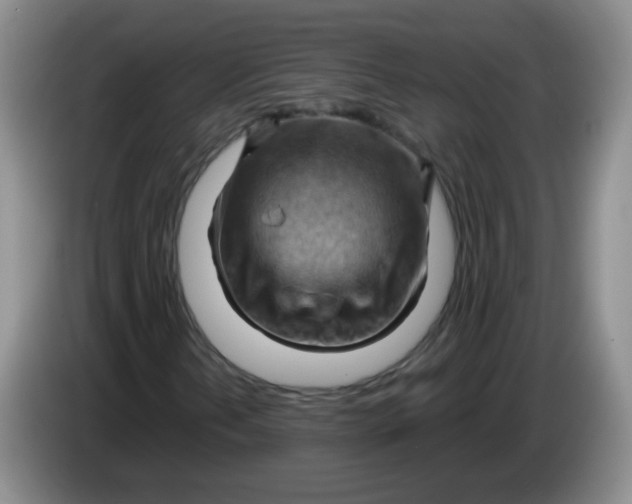 X0000083971202200703091755