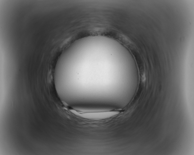 X0000083971204200703091755