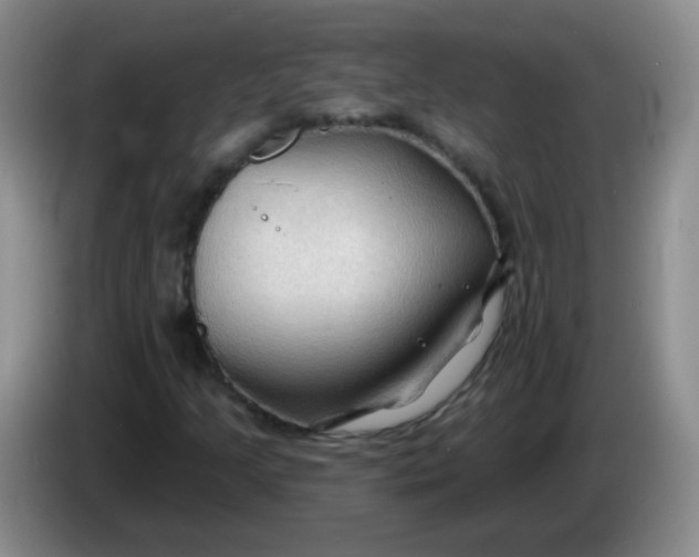 X0000083971205200703091755
