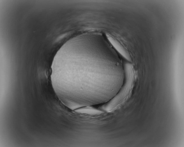 X0000083971206200703091755