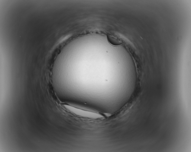 X0000083971207200703091755