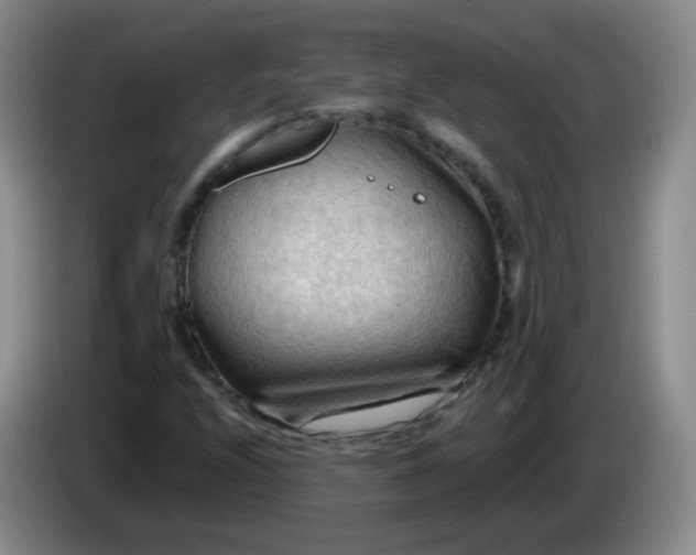 X0000083971208200703091755