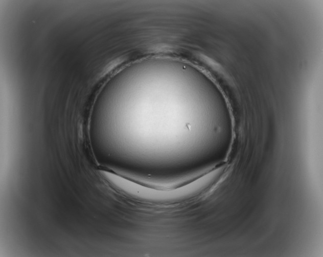X0000083971209200703091755