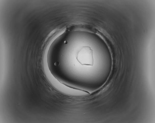 X0000083971210200703091755
