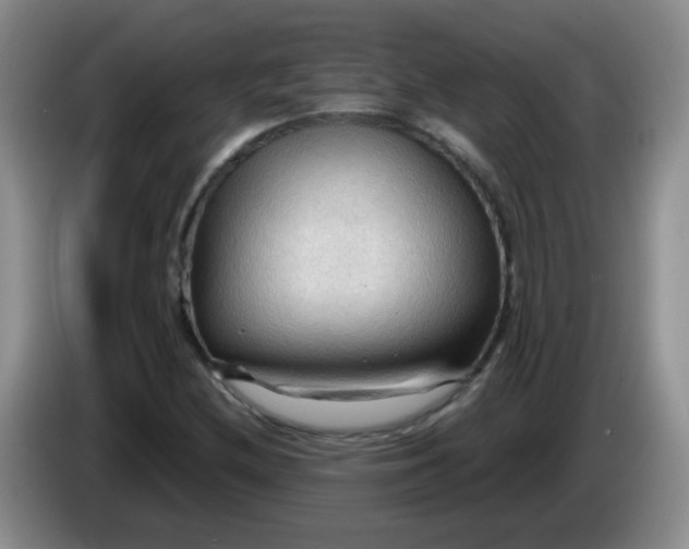X0000083971212200703091755