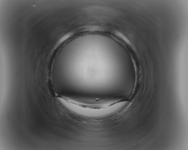 X0000083971213200703091755