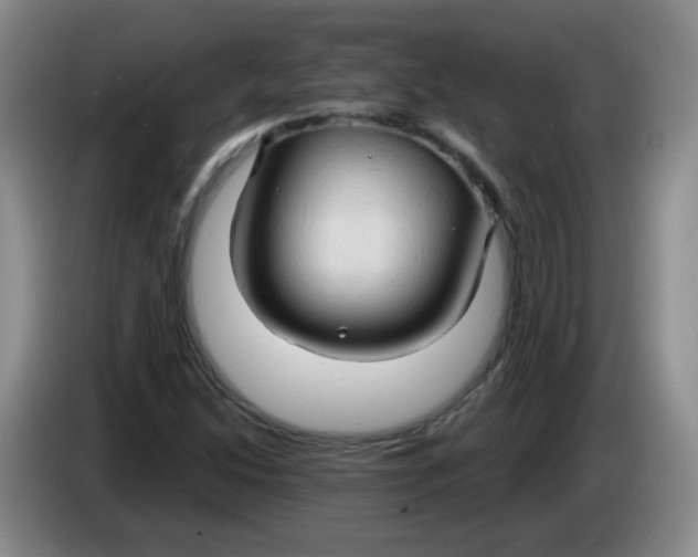 X0000083971214200703091755