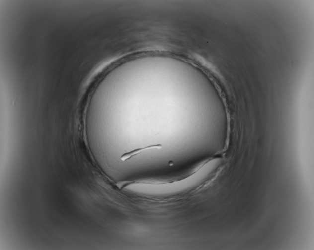 X0000083971215200703091755