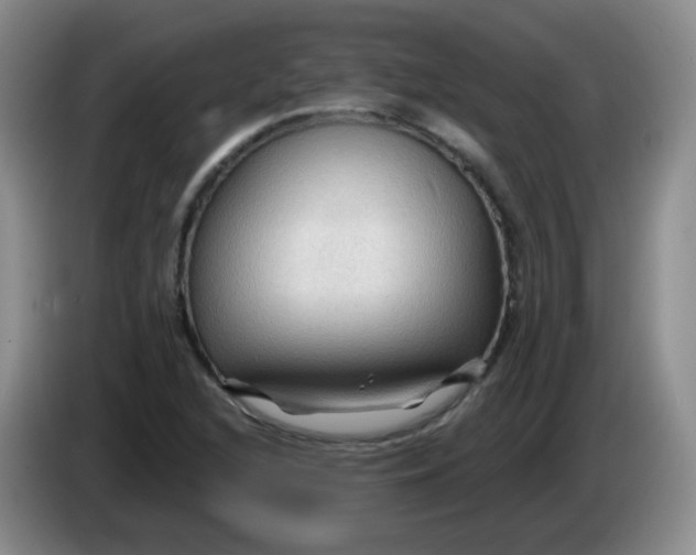 X0000083971216200703091755