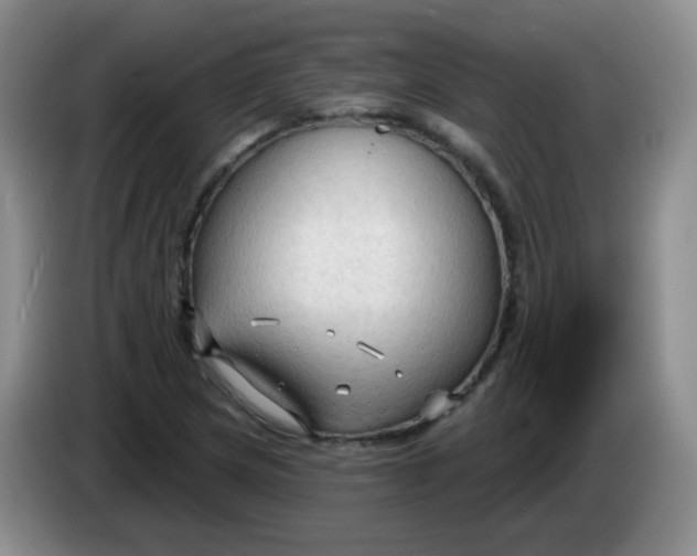 X0000083971217200703091755