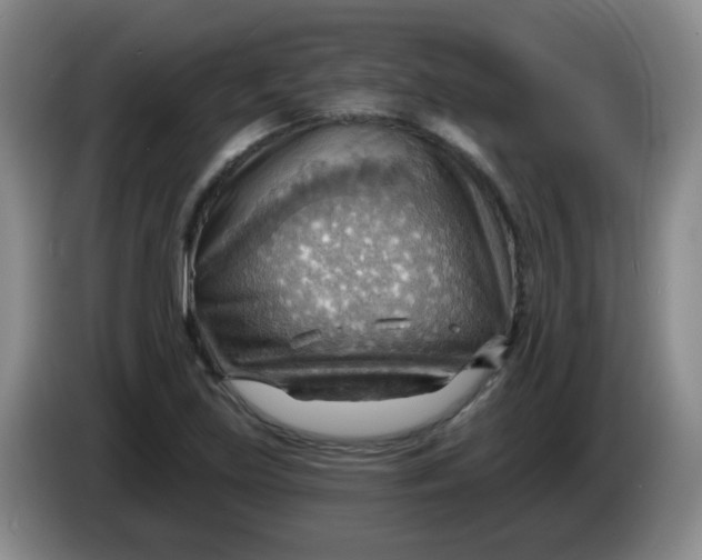 X0000083971219200703091755