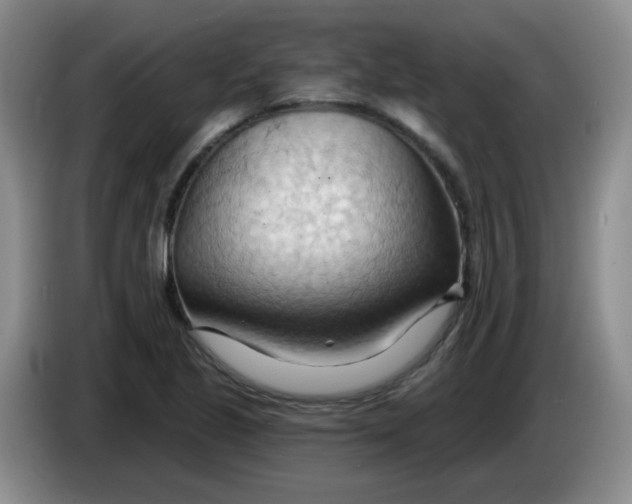 X0000083971221200703091755