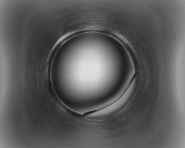 X0000083971222200703091755