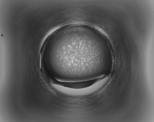 X0000083971223200703091755