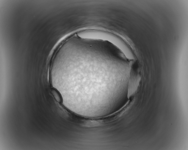 X0000083971224200703091755