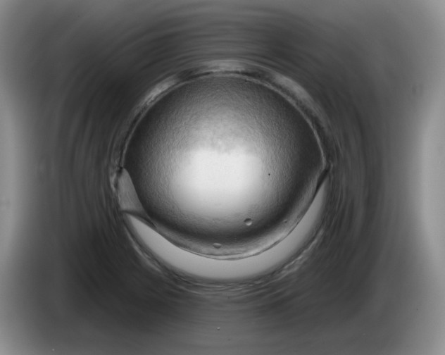 X0000083971225200703091755