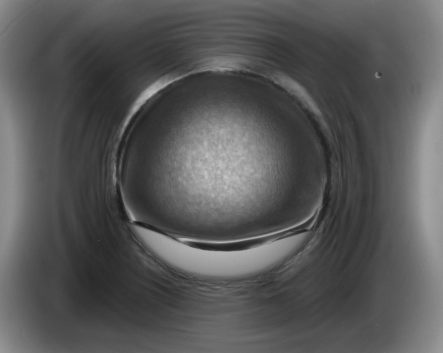 X0000083971226200703091755