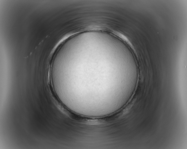 X0000083971227200703091755
