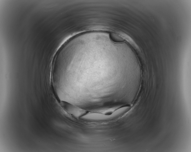 X0000083971228200703091755