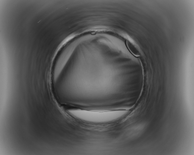 X0000083971229200703091755