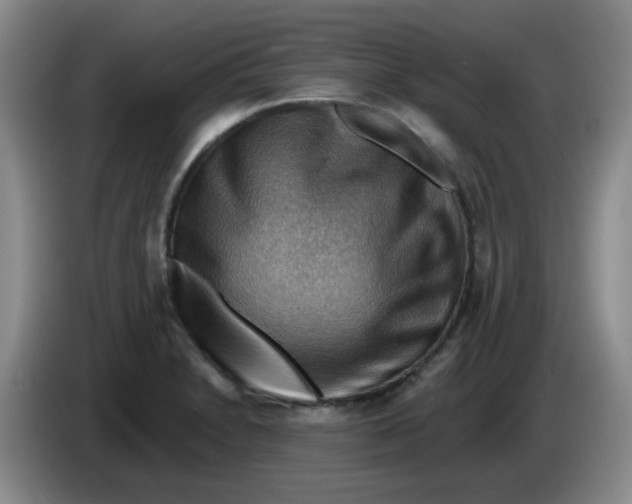 X0000083971230200703091755