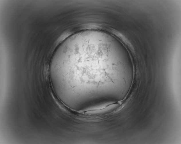 X0000083971233200703091755