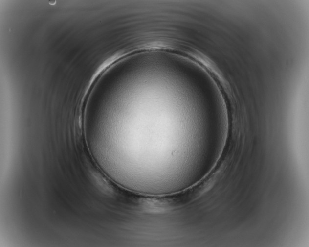 X0000083971234200703091755