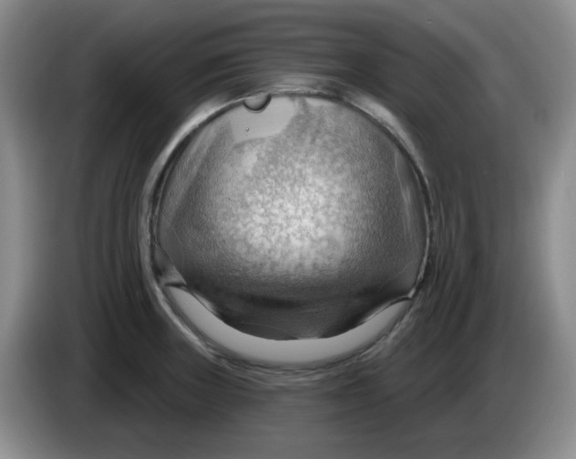 X0000083971235200703091755