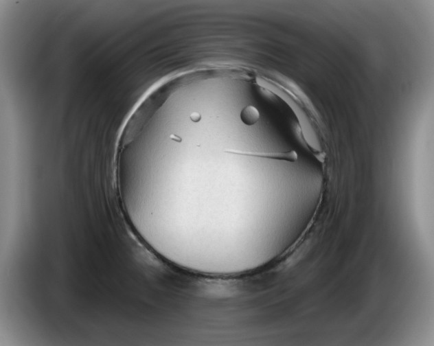 X0000083971236200703091755