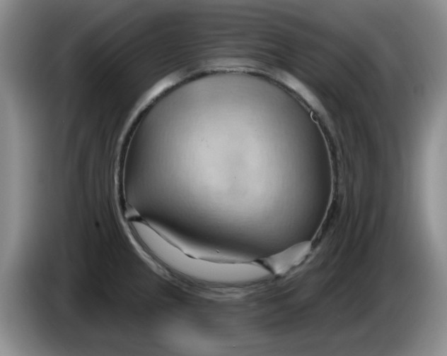 X0000083971237200703091755