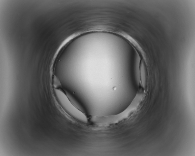 X0000083971238200703091755