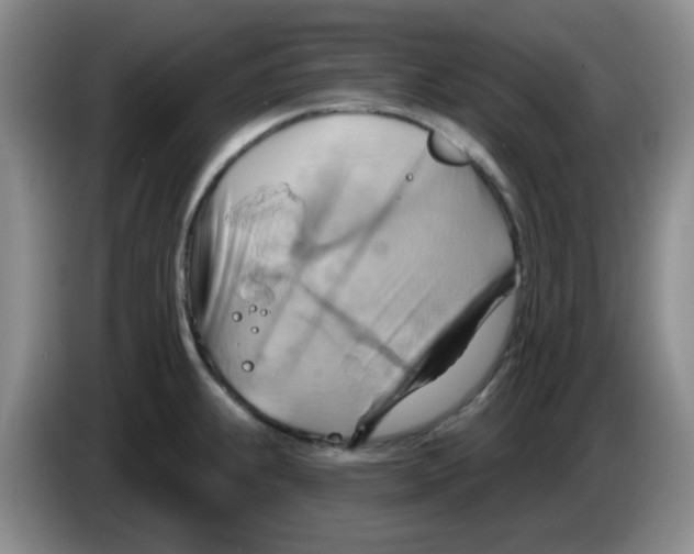 X0000083971239200703091755