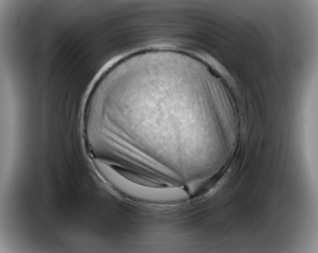 X0000083971240200703091755