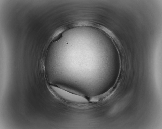 X0000083971241200703091755