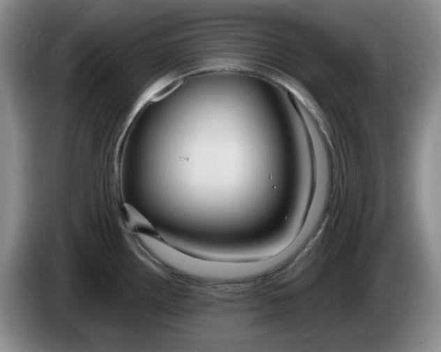 X0000083971242200703091755