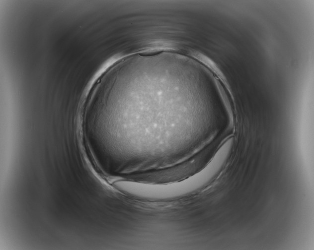 X0000083971243200703091755