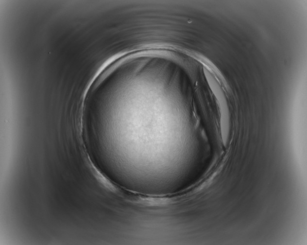 X0000083971244200703091755