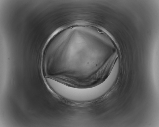 X0000083971245200703091755