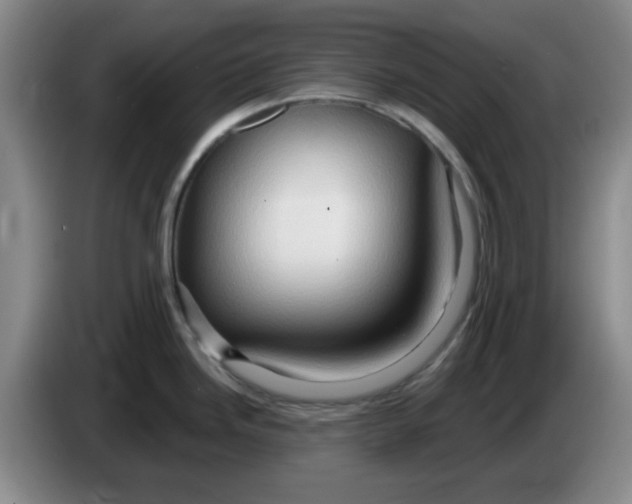 X0000083971246200703091755
