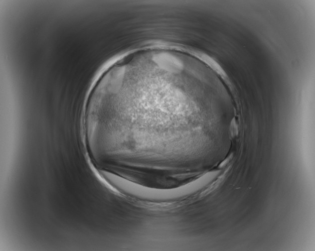 X0000083971247200703091755