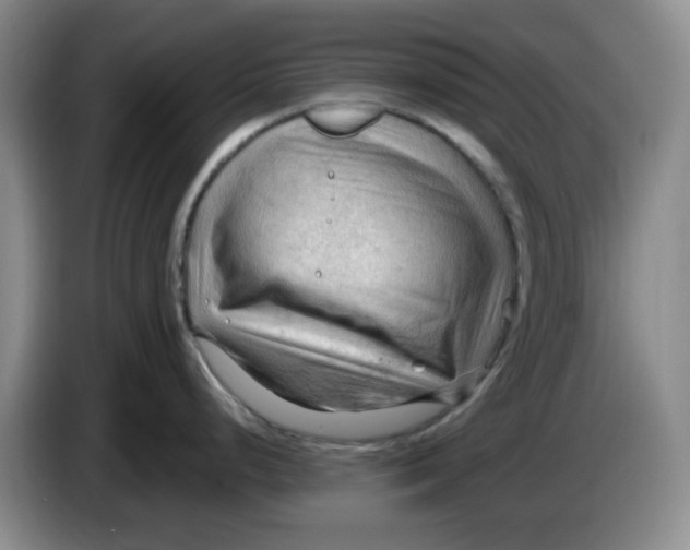 X0000083971248200703091755