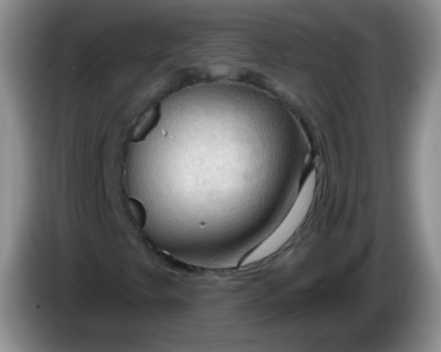 X0000083971249200703091755