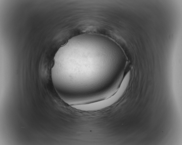 X0000083971250200703091755