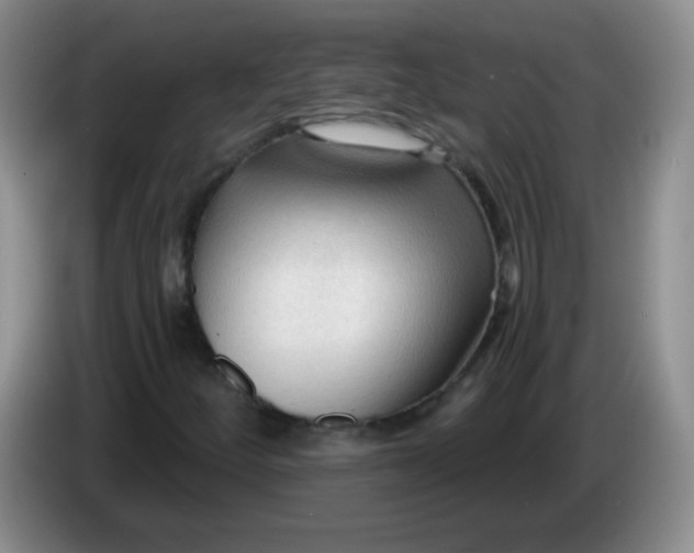 X0000083971252200703091755