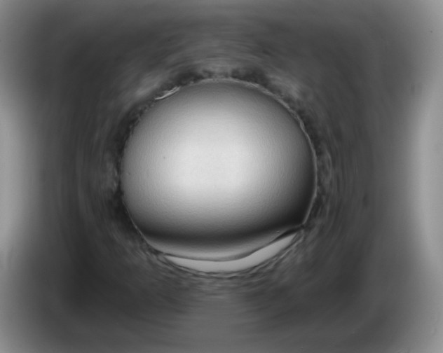 X0000083971253200703091755