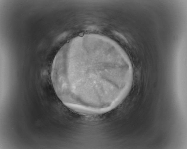 X0000083971254200703091755