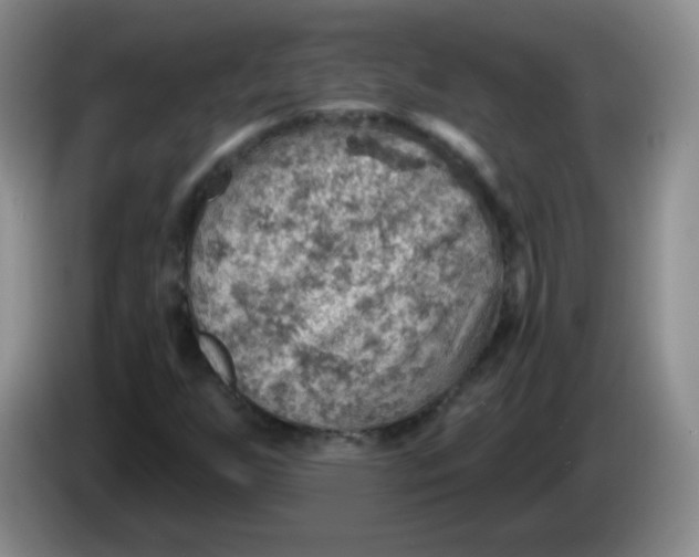 X0000083971255200703091755